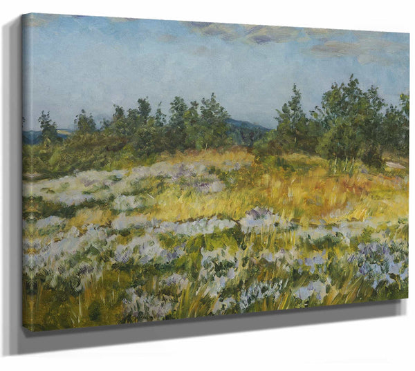 Frantisek Kavan 14" x 11" / Stretched Canvas Wrap A Little Bit Of Heather By Frantisek Kavan