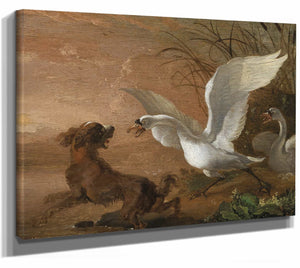 A Swan Attacking A Dog By Abraham Hondius