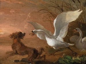 Abraham Hondius A Swan Attacking A Dog By Abraham Hondius