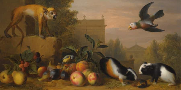 Jakob Bogdany An Extensive Landscape With A Capuchin Squirrel Monkey St Vincent Parrot By Jakob Bogdany