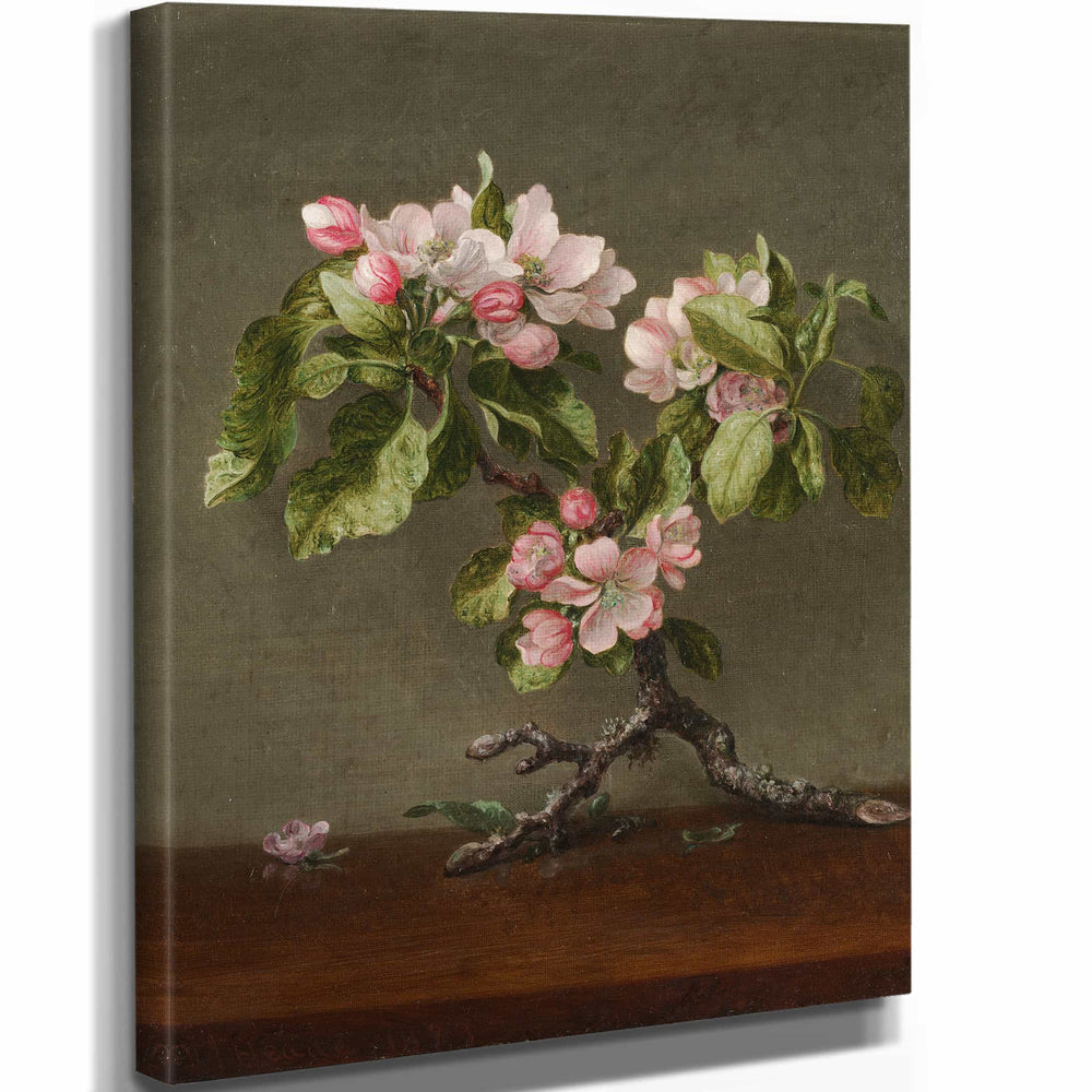 Martin Johnson Heade Apple Blossoms (1873) By Martin Johnson Heade