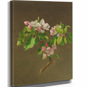 Martin Johnson Heade Apple Blossoms By Martin Johnson Heade