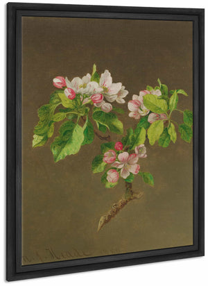 Apple Blossoms By Martin Johnson Heade