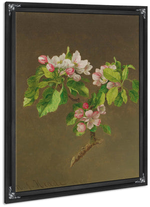 Apple Blossoms By Martin Johnson Heade