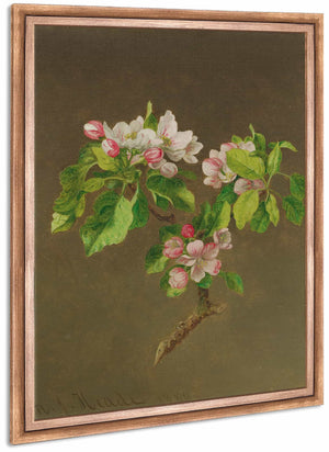 Apple Blossoms By Martin Johnson Heade