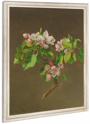 Apple Blossoms By Martin Johnson Heade