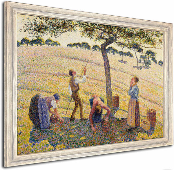 Apple Harvest By Camille Pissarro