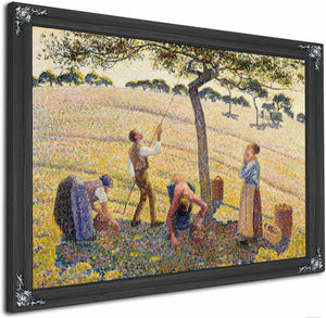 Apple Harvest By Camille Pissarro