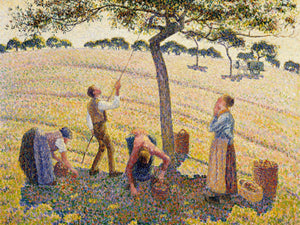 Camille Pissarro Apple Harvest By Camille Pissarro