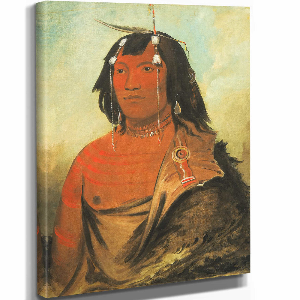 George Catlin 11" x 14" / Stretched Canvas Wrap Bi Eets Ee Cure Very Sweet Man By George Catlin