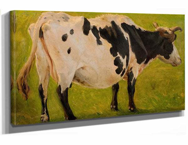 Carlo Dalgas 18" x 12" / Stretched Canvas Wrap Black And White Cow Standing Study By Carlo Dalgas