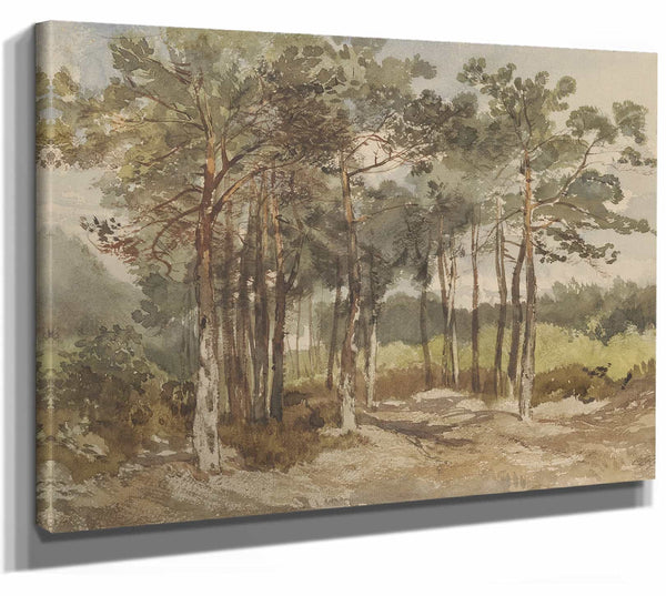 Boomgroep In De Bossen Bij Driebergen By Charles Rochussen