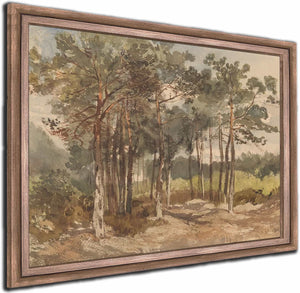 Boomgroep In De Bossen Bij Driebergen By Charles Rochussen