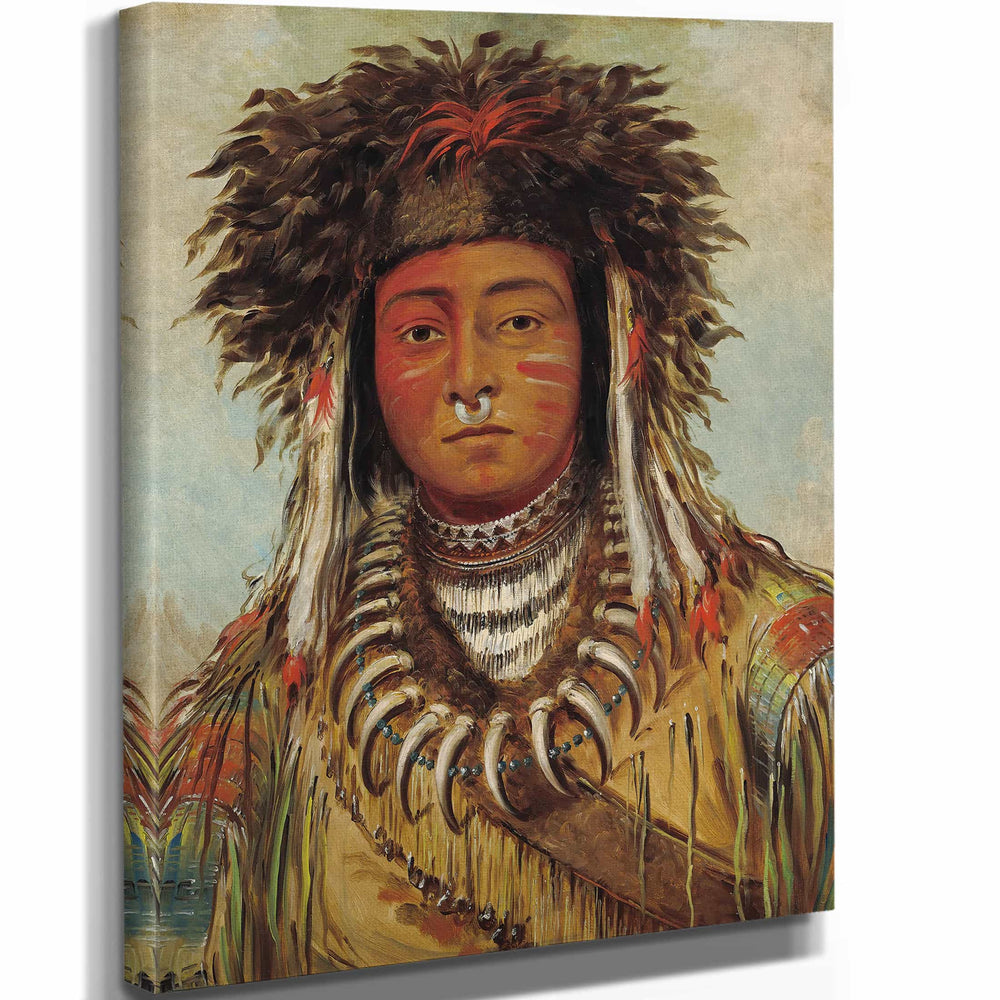 George Catlin 11" x 14" / Stretched Canvas Wrap Boy Chief Ojibbeway By George Catlin