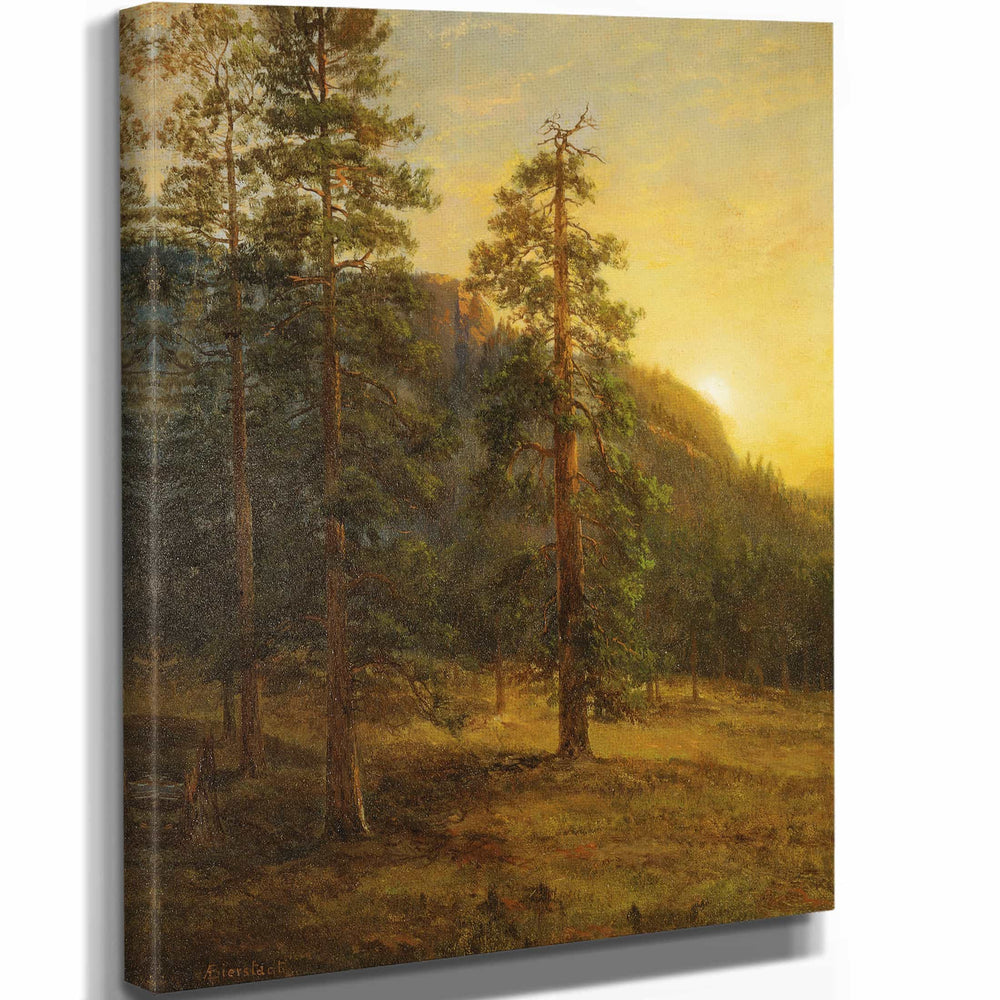 Albert Bierstadt California Redwoods By Albert Bierstadt