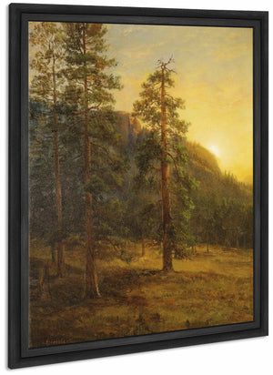 California Redwoods By Albert Bierstadt