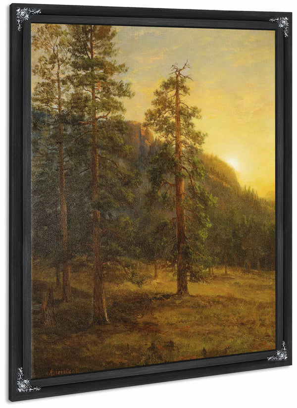 California Redwoods By Albert Bierstadt