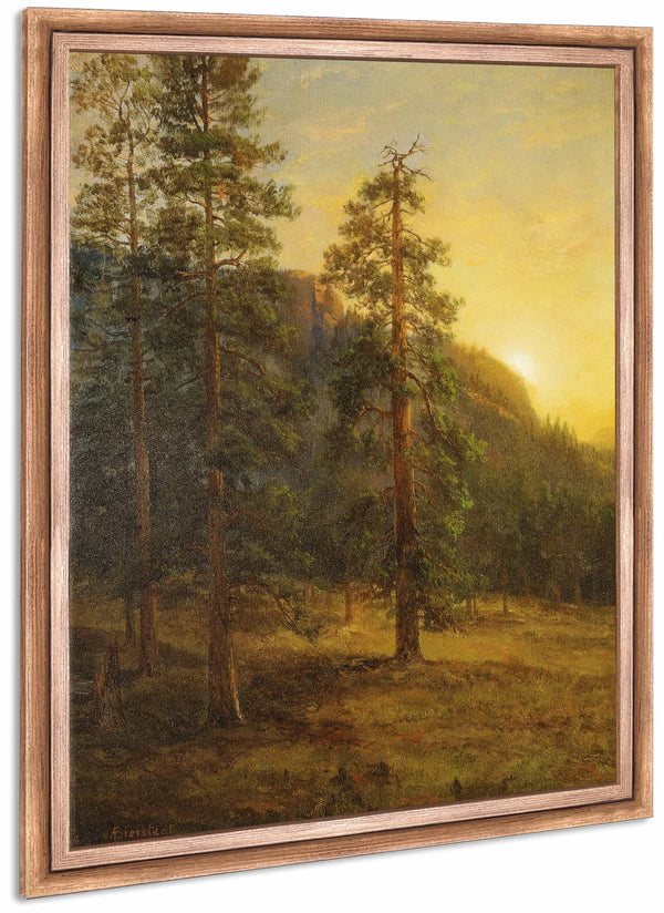 California Redwoods By Albert Bierstadt