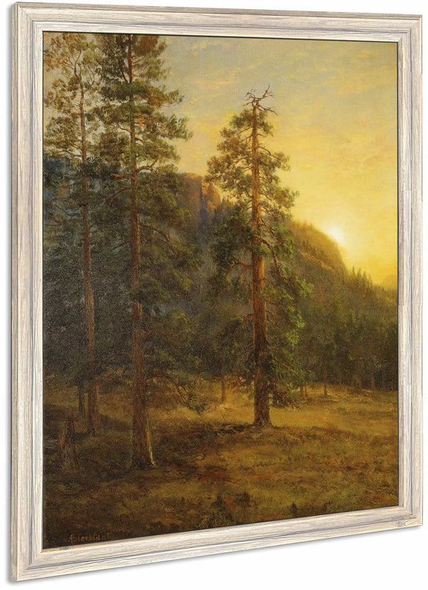 California Redwoods By Albert Bierstadt