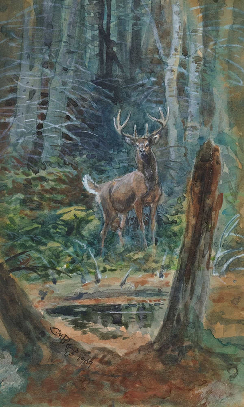 Charles Marion Russell Deer In The Dell By Charles Marion Russell