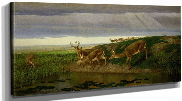 William Holbrook Beard Deer On The Prairie By William Holbrook Beard