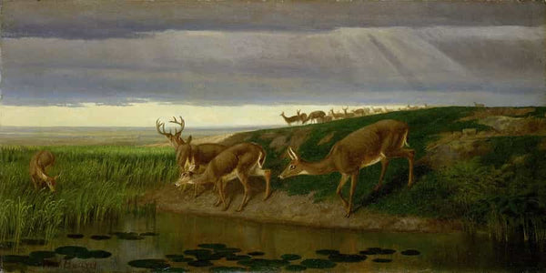 William Holbrook Beard Deer On The Prairie By William Holbrook Beard