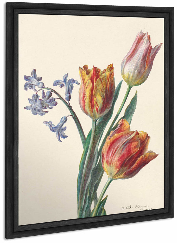 Drie Tulpen En Een Takje Hyacint By C De Haspe