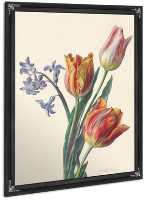 Drie Tulpen En Een Takje Hyacint By C De Haspe