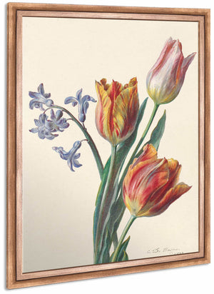 Drie Tulpen En Een Takje Hyacint By C De Haspe