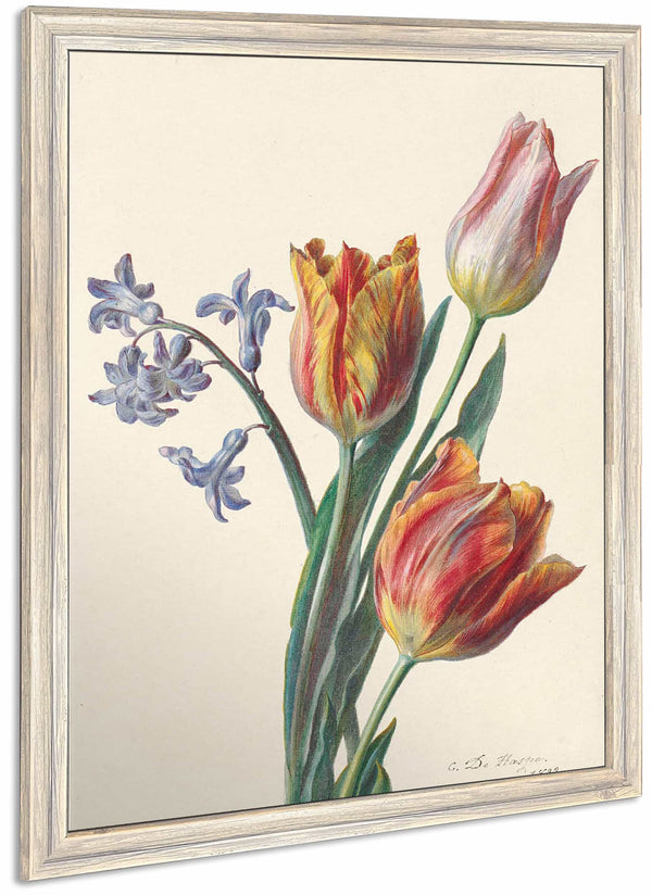 Drie Tulpen En Een Takje Hyacint By C De Haspe