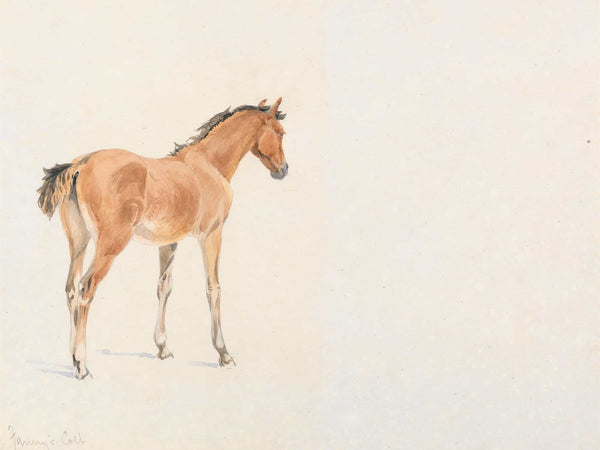 John Frederick Tayler Fannys Colt July 26 1886 By John Frederick Tayler