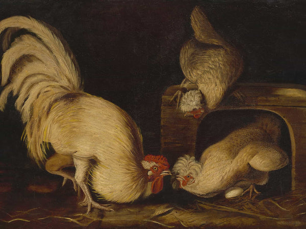 John James Audubon Farmyard Fowls By John James Audubon