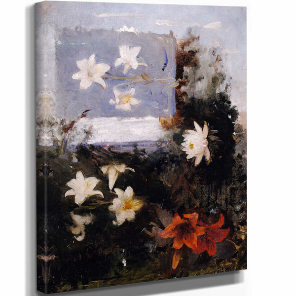 Abbott Handerson Thayer Flower Studies By Abbott Handerson Thayer