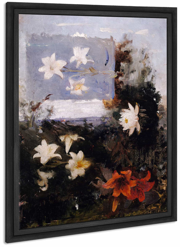 Flower Studies By Abbott Handerson Thayer