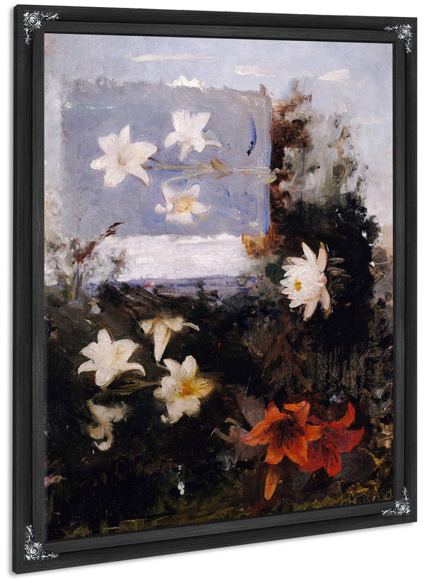 Flower Studies By Abbott Handerson Thayer