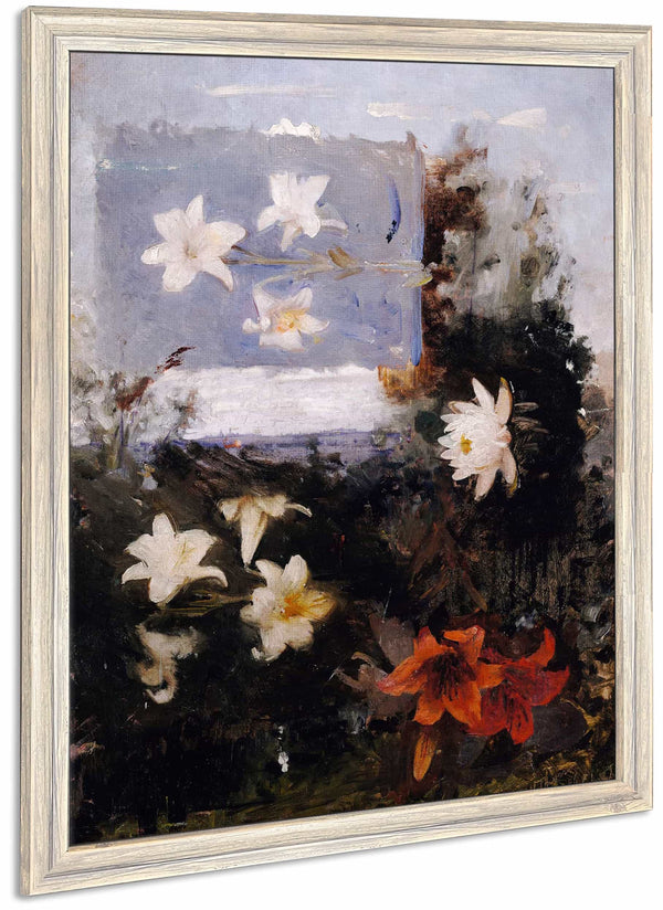 Flower Studies By Abbott Handerson Thayer