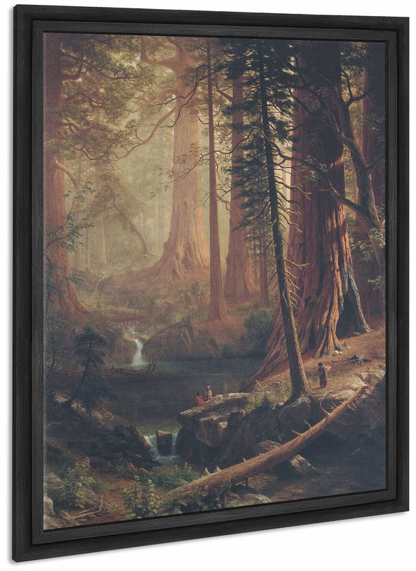 Giant Redwood Trees Of California By Albert Bierstadt