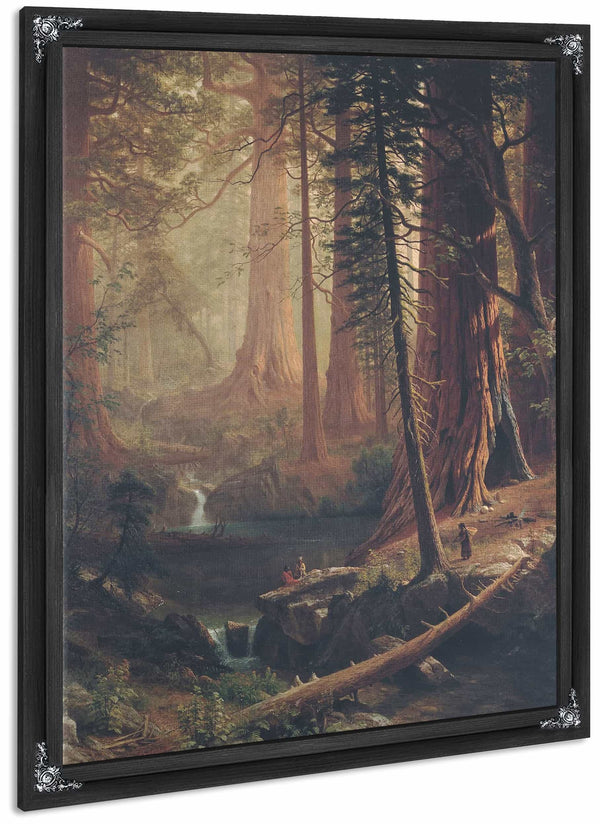 Giant Redwood Trees Of California By Albert Bierstadt