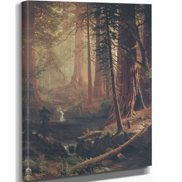 Giant Redwood Trees Of California By Albert Bierstadt