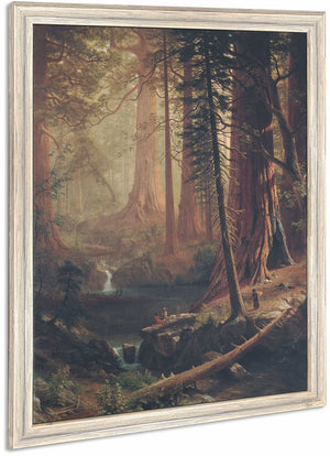 Giant Redwood Trees Of California By Albert Bierstadt