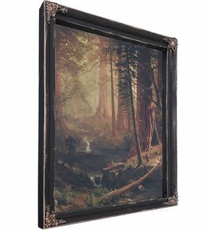 Giant Redwood Trees Of California By Albert Bierstadt