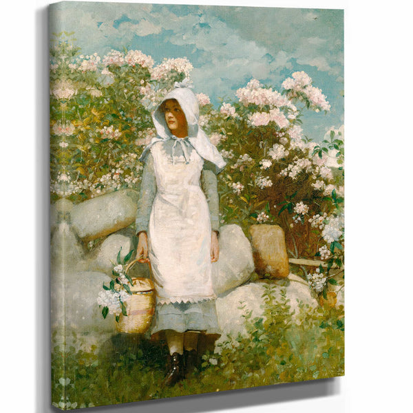 Winslow Homer 11" x 14" / Stretched Canvas Wrap Girl And Laurel By Winslow Homer