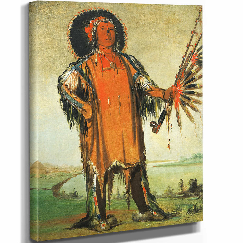 George Catlin 11" x 14" / Stretched Canvas Wrap Ha Na Ta Nu Mauk Wolf Chief Head Chief Of The Tribe By George Catlin