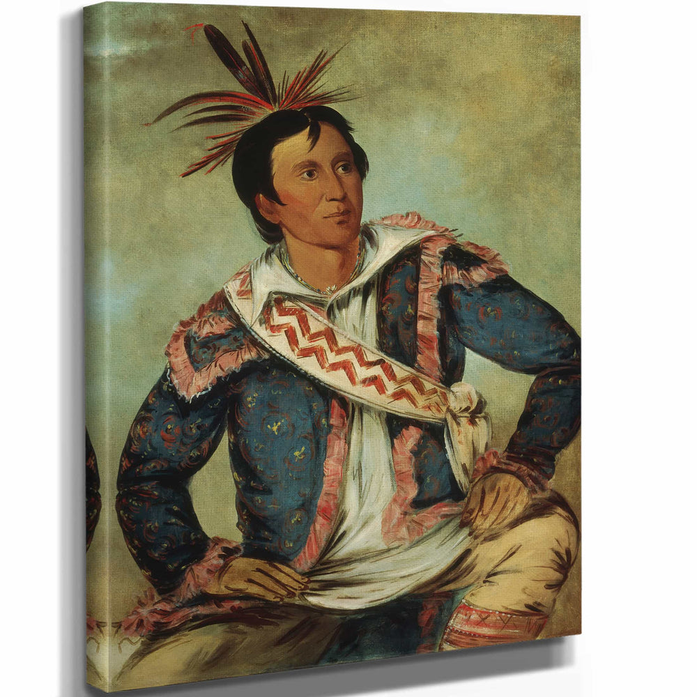 George Catlin 11" x 14" / Stretched Canvas Wrap Ha Tchoo Tuc Knee Snapping Turtle A Half Breed By George Catlin