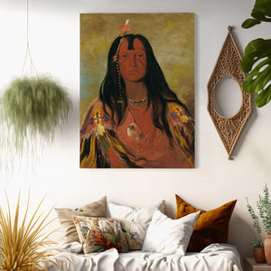 George Catlin Hco A Hco A Hcotes Min No Horns On His Head A Brave By George Catlin