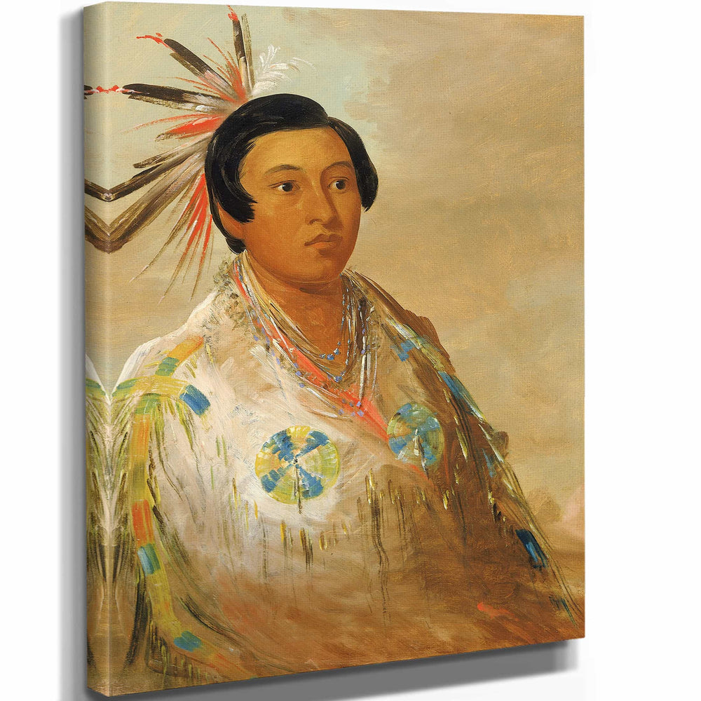 George Catlin 11" x 14" / Stretched Canvas Wrap Hee Dohge Ats A Young Man By George Catlin