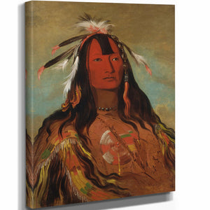 George Catlin 11" x 14" / Stretched Canvas Wrap Hee Ohks Te Kin Rabbits Skin Leggings By George Catlin