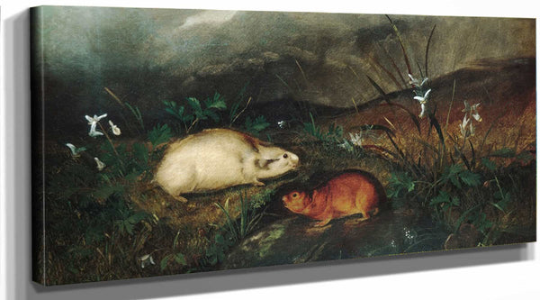 John Woodhouse Audubon Hudsons Bay Lemming By John Woodhouse Audubon