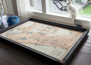 a cat sitting on a window sill looking at a map