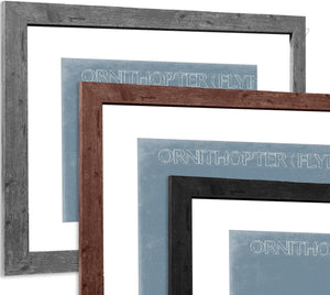 Bella Frye Home & Garden > Decor > Artwork Leonardo Da Vinci Ornithopter Wall Art - Original Flying Machine Airplane Print